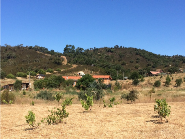 Vale Bacias