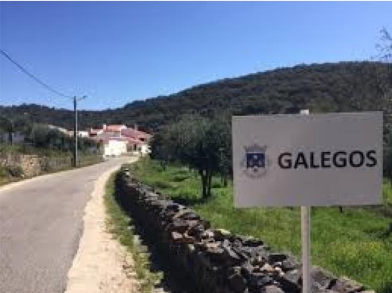 Galegos